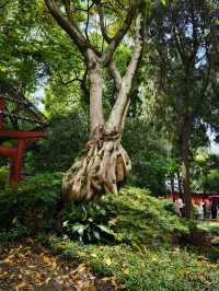 Chengdu’s Crown Jewel: Exploring the Shrine of the Marquis of Wu