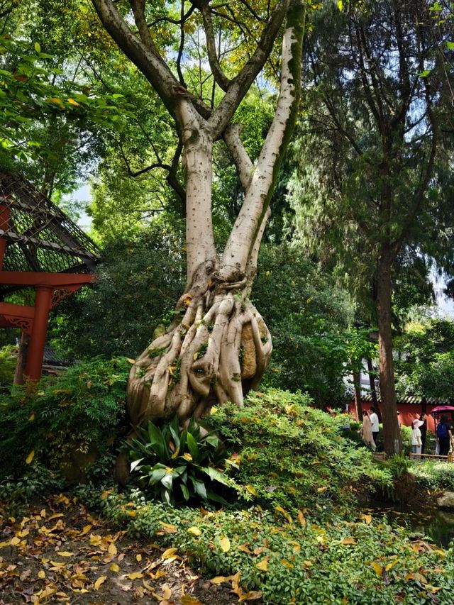Chengdu’s Crown Jewel: Exploring the Shrine of the Marquis of Wu
