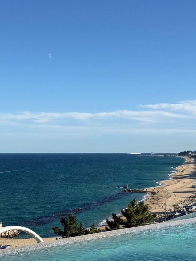 🌊 바다와 예술, 문화가 만나 더 특별한 강릉 2박 3일 여행코스