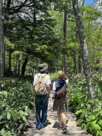 【上高地ハイキング】川がやばいくらい透明だった🗻🏞