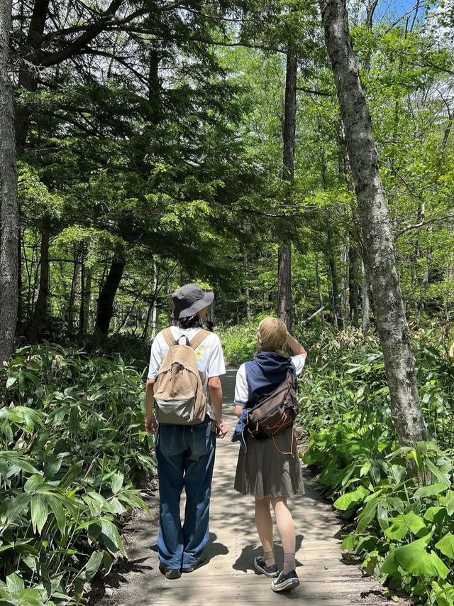 【上高地ハイキング】川がやばいくらい透明だった🗻🏞