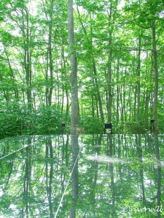 [Yamagata] The only shrine in the world dedicated to air, "Air Shrine"
