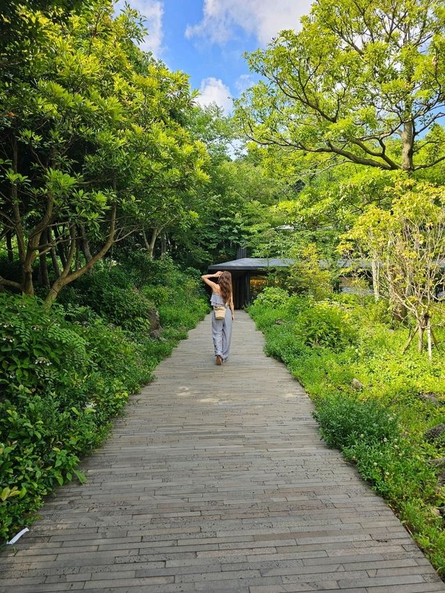 茶畑と一体化する癒しカフェ。済州の自然と茶文化を五感で🌱🍵
