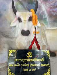 สายมู-สายบุญ: ขอนแก่น → มหาสารคาม เสริมพลังชีวิต