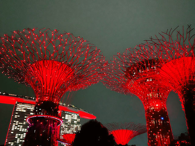 Enchanting Nights at Supertree Grove: A Dazzling Dance of Light and Nature