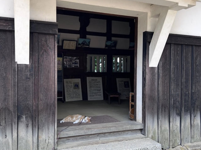 🏯【備中松山城】雲海に浮かぶ天空の城で絶景と歴史に出会う旅