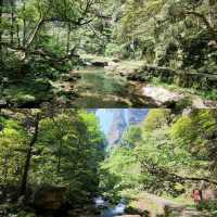 Into the Real-Life Avatar Mountains: A Zhangjiajie Adventure