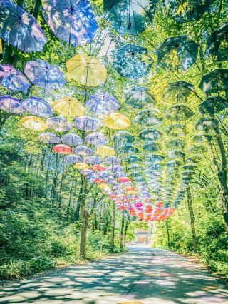 [Don't worry about the rain!?] A fantastical world of umbrellas