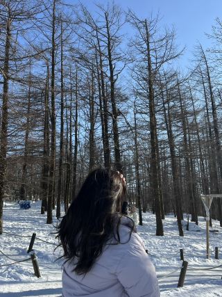 評論「萬項齋 (만항재)」雪景觀賞點
