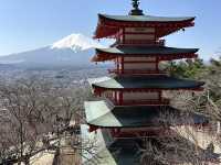 新倉富士淺間神社:捕捉富士山最經典的瞬間
