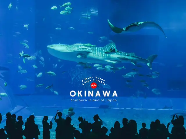 โอกินาว่า…เกาะสวรรค์แห่งทะเลญี่ปุ่น