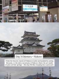7-Day Tokyo & Itinerary 🗾⛩️