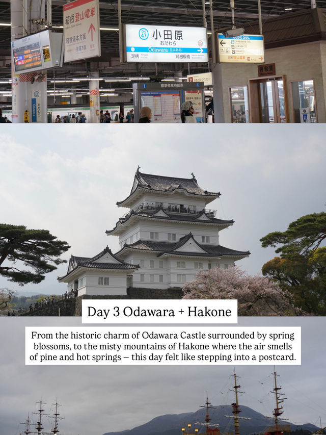 7-Day Tokyo & Itinerary 🗾⛩️ 7-Day Tokyo & Itinerary 🗾⛩️