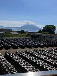 【鹿児島・霧島市】⛩️霧島神宮🏺黒酢ガーデン壺畑〜霧の聖地と黒酢壺の歴史旅〜
