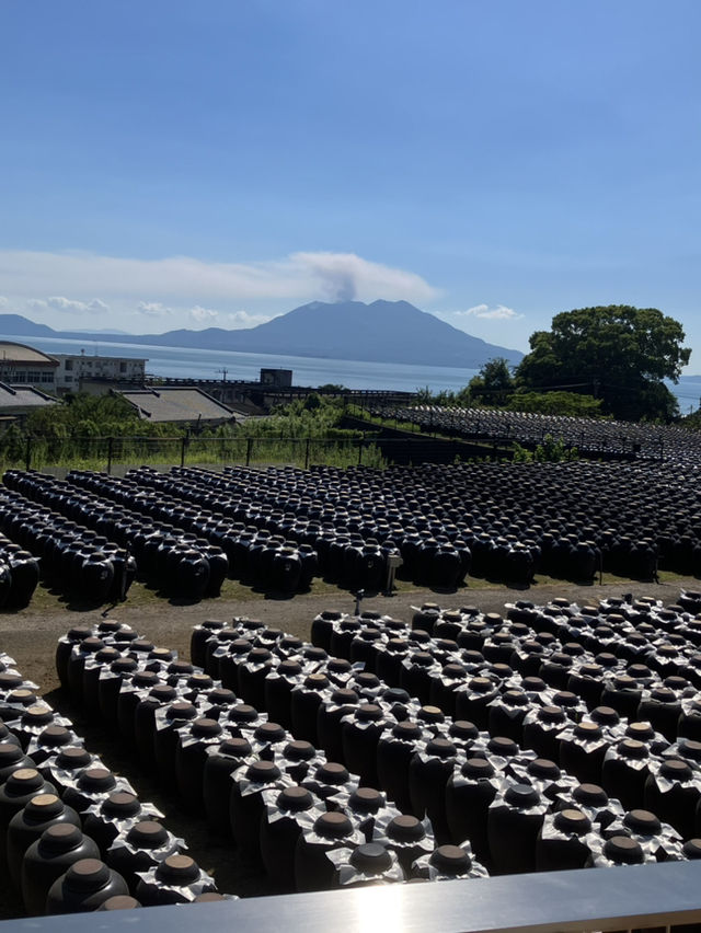 【鹿児島・霧島市】⛩️霧島神宮🏺黒酢ガーデン壺畑〜霧の聖地と黒酢壺の歴史旅〜