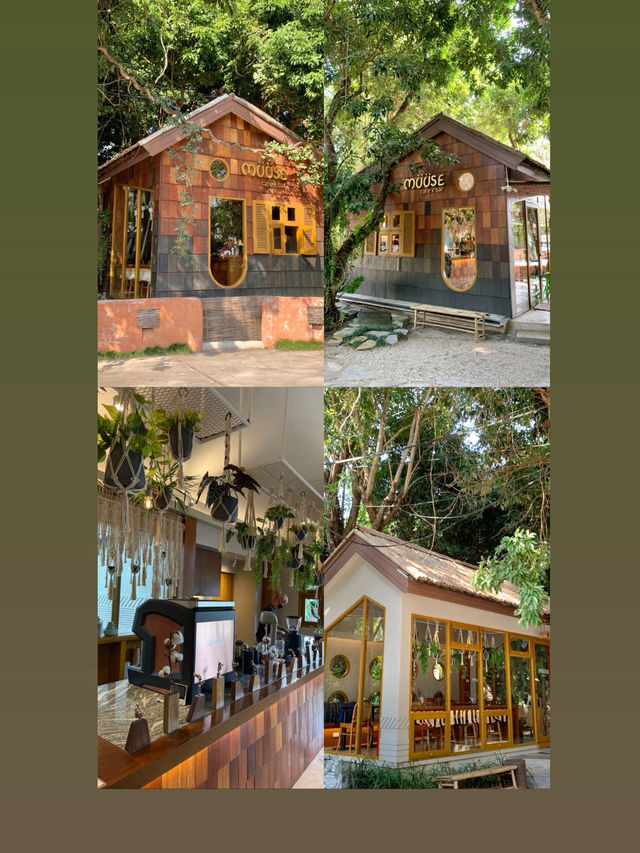 คาเฟ่เปิดใหม่ เชียงราย MUUSE CAFE&BAR CHIANGRAI