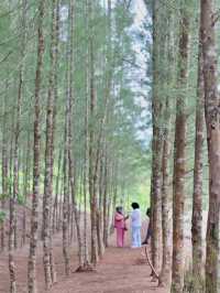 ถ้ำเหมืองทองหลาง จ.พังงา 
