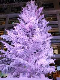 ✨ 丸の内クリスマス記録と2025 予測: 花と光の饗宴からマリオと共に彩る冬へ
