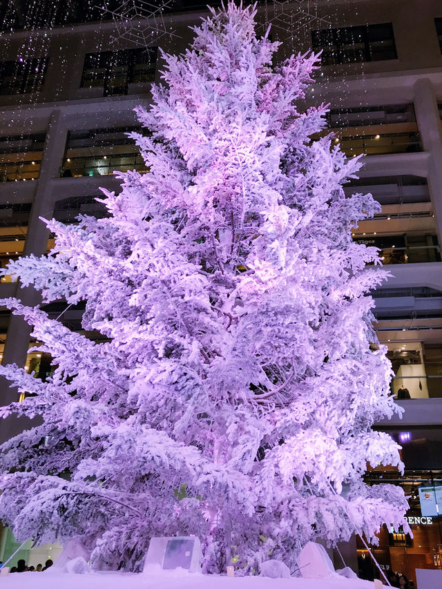 ✨ 丸の内クリスマス記録と2025 予測: 花と光の饗宴からマリオと共に彩る冬へ
