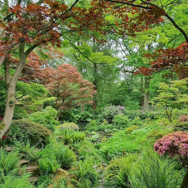 Winterbourne House & Garden