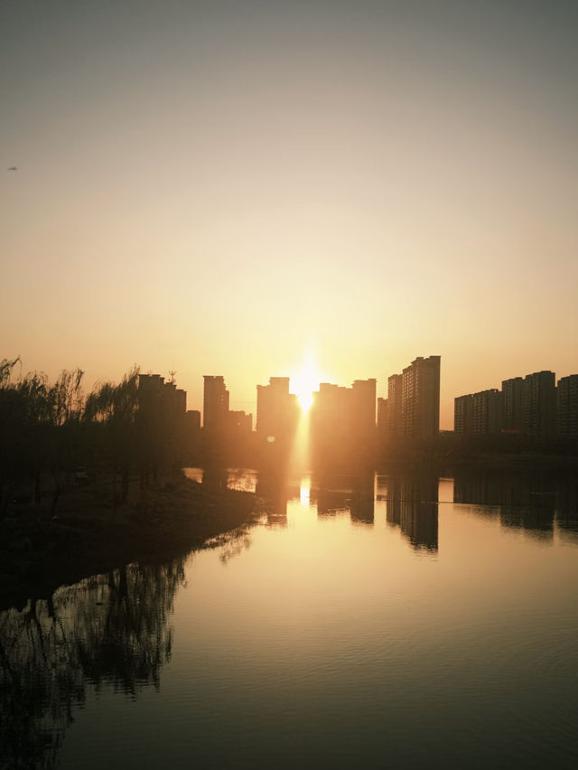 【齊盛湖公園】終極遊玩攻略 | 淄博城市綠肺的慢生活 🏞️