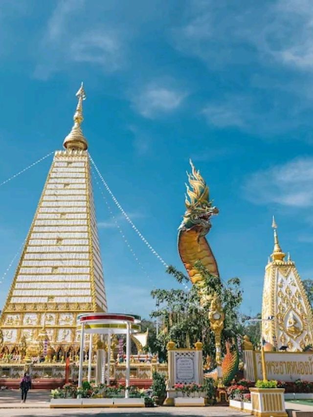 🌺ชวนเที่ยว วัดพระธาตุหนองบัว