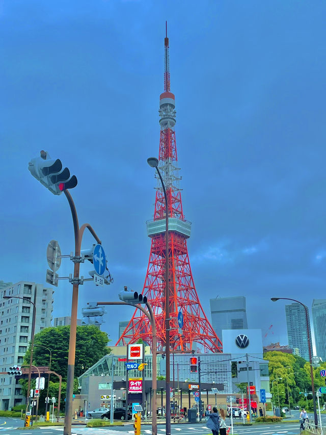 🌇 도쿄 타워! 여기서 감상해요~!👍