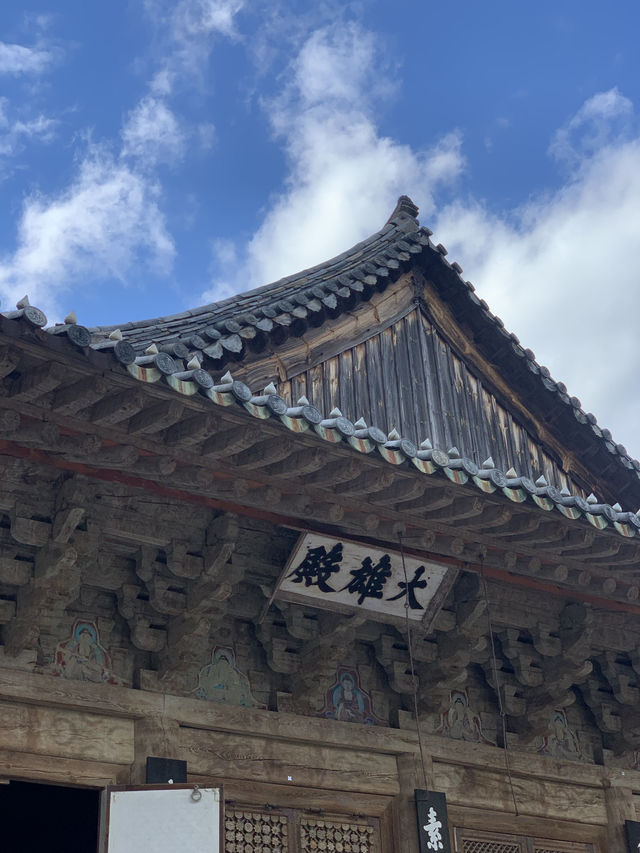 양산에서 만나는 자연과 역사, 임경대 & 통도사 여행기🌿⛩️
