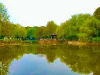 Luobinwang Park: A Cultural Tribute in Yiwu
