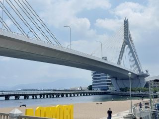 Aomori Travel Guide: Must-Visit Apple Spots