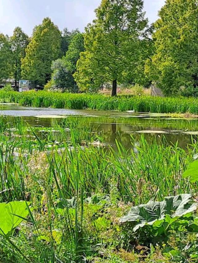 National Botanic Garden of Wales