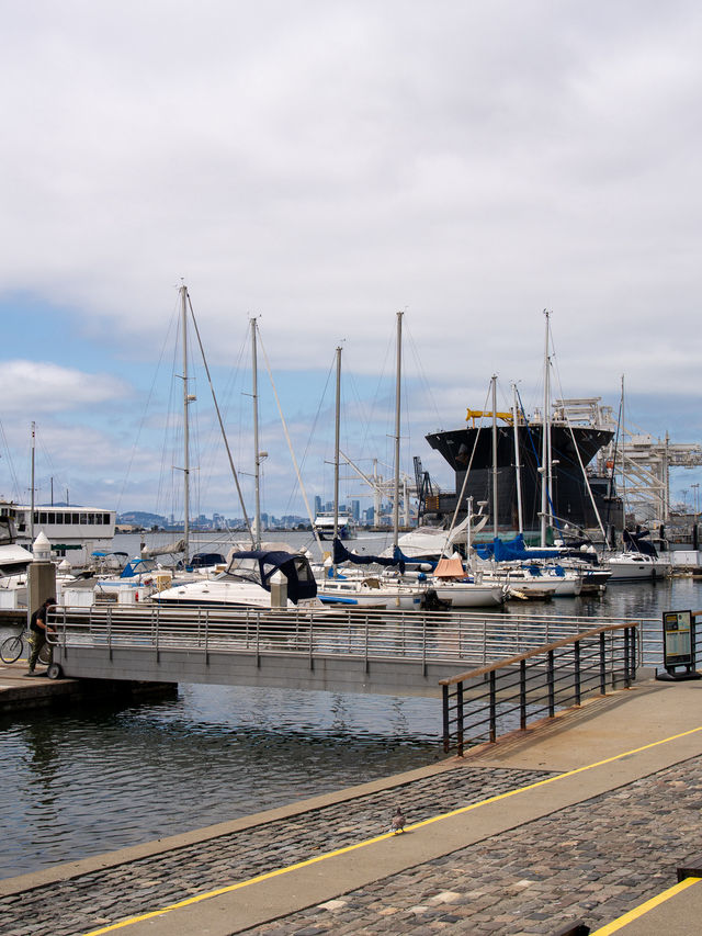 オークランド オークランド