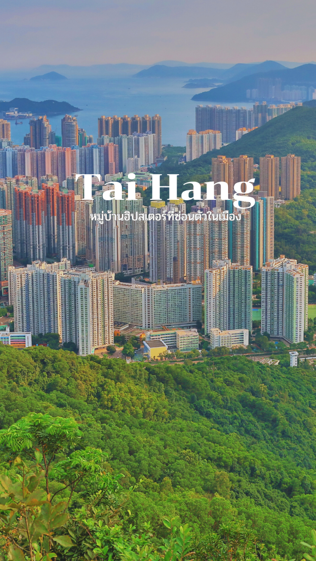 Tai Hang หมู่บ้านฮิปสเตอร์กลางเมือง