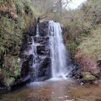 Ballard Waterfall Forest Recreational Area – Hidden Cascades & Woodland Loops of North Cork