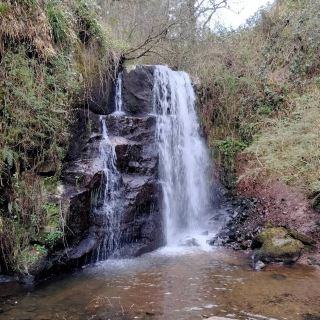 巴拉德瀑布森林休閒區——北科克郡隱秘瀑布與林地環道