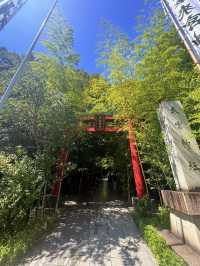 熱海｜隱身在樹林中來宮神社 繞神木一圈能延命一年傳說