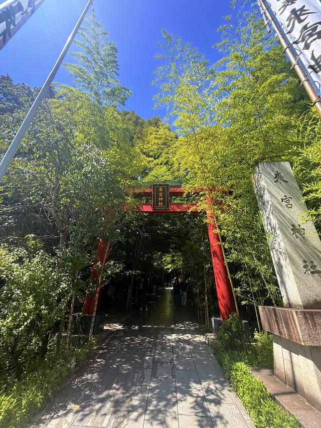 熱海｜隱身在樹林中來宮神社 繞神木一圈能延命一年傳說