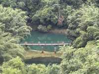 Chillin’ at 鼎湖山: Scenic Vibes & Insta-Worthy Spots 📸🌳