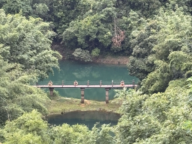 Chillin’ at 鼎湖山: Scenic Vibes & Insta-Worthy Spots 📸🌳