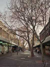 Weekend Wander: Brunch, Local Markets & Iconic Fish & Chips in Fremantle & North Perth ✨🍳🦈