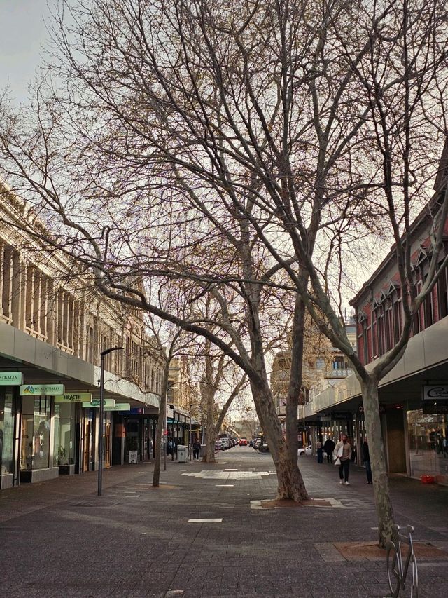 Weekend Wander: Brunch, Local Markets & Iconic Fish & Chips in Fremantle & North Perth ✨🍳🦈