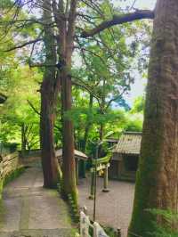 유후인의 보석, 킨린호수 옆 신사 산책 ⛩️✨