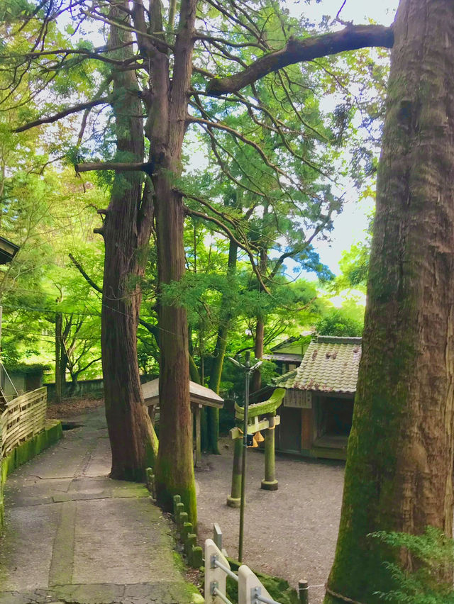 유후인의 보석, 킨린호수 옆 신사 산책 ⛩️✨