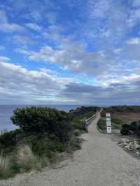 The Nobbies View Point