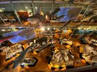🏛️ Discover Wonders at the National Museum of Scotland ✨
