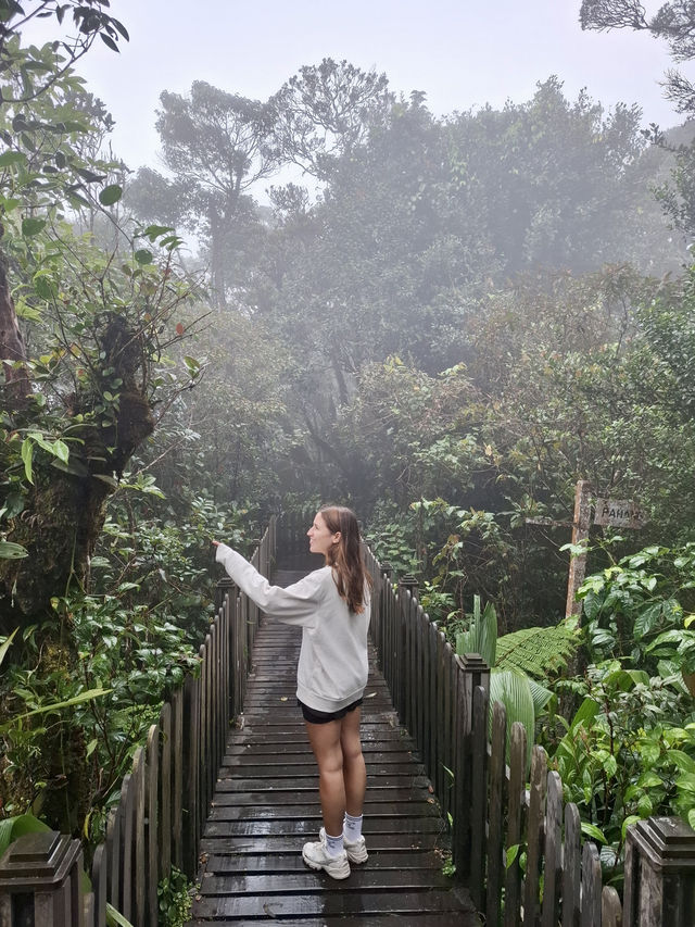 Step Into a Fairytale: Exploring Cameron Highlands’ Mossy Forest