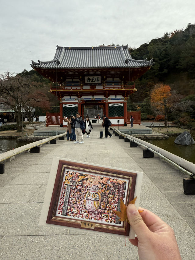 大阪近郊紅葉靚景（期間限定）