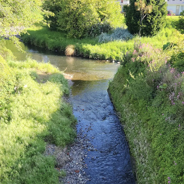 Dunedin Botanic Garden
