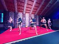 New Zealand Adventures : From Islands to Iconic Shores