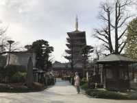 Morning stroll in Asakusa: Timeless Charm of Sensoji Temple⛩️